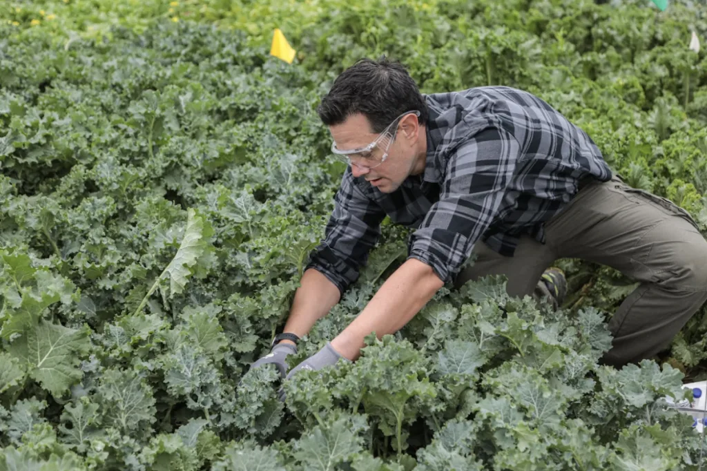 Google brings AI to crop breeding with Heritable Agriculture