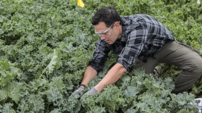 Google brings AI to crop breeding with Heritable Agriculture